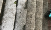 浙江雷雨频繁 局地气温超30℃