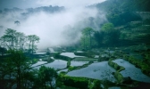 云南适合几月份去旅游 去云南旅游最佳时间