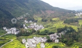 花期预报3年 沿途“风景”如何？