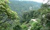 西藏6.3级地震有什么影响？当地居民外出避震后回家正常生活