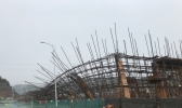 12级雷雨大风袭击浙江青田 大树被连根拔起