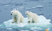 科学家：气候变暖导致永久冻土解冻加速