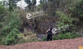 四川一男子焚烧野草引发山火 未造成人员伤亡