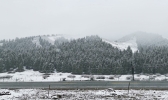 乌鲁木齐南山大雪纷飞 返青牧草被积雪覆盖