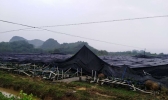 强雷雨突袭广东清远 房屋受损树木被折断