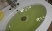 湖北安陆自来水变绿汤 系水库遭水华侵蚀