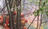昨日甘肃省一林场发生火灾 烟火冲天过火面积达18亩