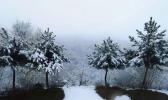 河北邢台西部山区罕见四月飞雪 大地银装素裹