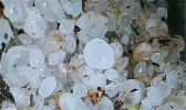 冰雹+大风！强对流致云南永善县泥沙洪水翻滚