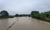 局地大暴雨！湖南东安多处塌方 成片农田被淹