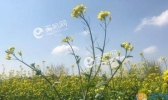 北京气温回升至23℃ 五一全市晴天或多云为主