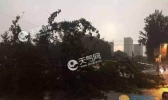 五一旅游野营注意事项 南方强对流多怎么躲冰雹