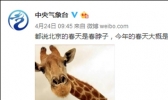 春天超长待机65天？北京今年春脖子有点长