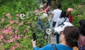 五一安徽晴到多云天气 早晚偏凉需注意保暖
