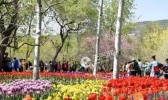受冷空气影响 今年北京春季比往年多近10天