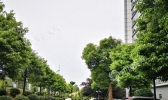 湖南未来一周多阴雨 气温低迷凉意十足