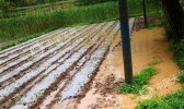 西北雨减弱 周四起全国迎三天降水间歇期