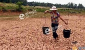 云南气象局：今年全省干旱程度较常年偏重