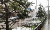 立夏飞雪  四川若尔盖迎来降雪降温天气