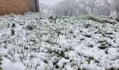 立夏时节 甘肃华家岭大雪纷飞
