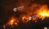 南苏丹突发森林火灾 大火肆虐至少33人死亡
