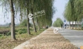 今日河南全省多云转阴 郑州气温最高仅24℃