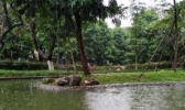 喜大普奔！今起广东雨水撤退 周末最高温或达30℃