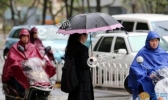 今日海南大部有雷阵雨 海口最低气温跌至24℃