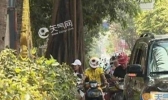西双版纳持续高温少雨 未来一周局地超37℃