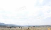 5月云南气温偏高降水偏少 多地森林火险等级居高不下
