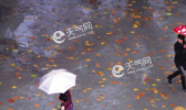 2019高考天气查询 今年高考天气怎么样2019