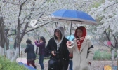 明起北京全市阵雨或雷阵雨 局地最低气温15℃