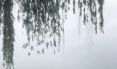 本周浙江多阵雨或雷雨 明天有暴雨