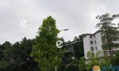 河南今起开启雷雨模式 信阳驻马店等地气温仅20℃