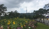 再闷热一天！周日起广东迎中到大雨局部暴雨降水过程