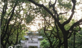 广东今粤北珠三角仍有大雨 多地雷阵雨伴强对流