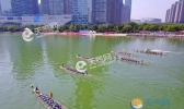 2019端午节合肥天气最新预报 合肥端午有没有雨