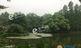 浙江全省最高温将破30℃ 周末现雷阵雨过程