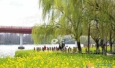 小满节气浙江多云转晴 局地气温回升至27℃
