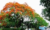 注意！今明天广东西部有雷雨 局地警惕强对流