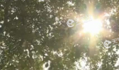 华北黄淮40℃高温天持续 南方现暴雨北方迎大风降温