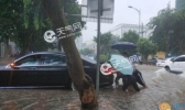 东北华北一带大风降温沙尘 重庆湖北等地雨势增大