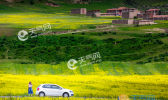 6月份去哪里旅游不热 今年六月气候最清凉的绝佳去处