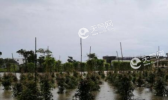 广东雨水将持续至本月底 珠三角和粤西雨水最大