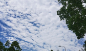 江苏全省多云间晴 淮北白天最高温可达30℃