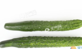 芒种吃什么蔬菜 芒种一定要吃的5种防暑降温蔬菜