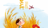 芒种养生短信大全 2019最实用的芒种养生问候语