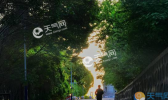 重庆明开始升温回暖 六一儿童节重庆最高可达33℃
