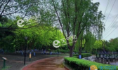 海南今天仍有雷阵雨 北部中部西部大到暴雨