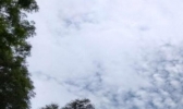 广东今日雨势渐弱 部分地区仍有大雨扰
